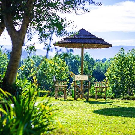 Quinta Da Chouza Agroturismo E Enoturismo Celorico De Basto Eksteriør billede