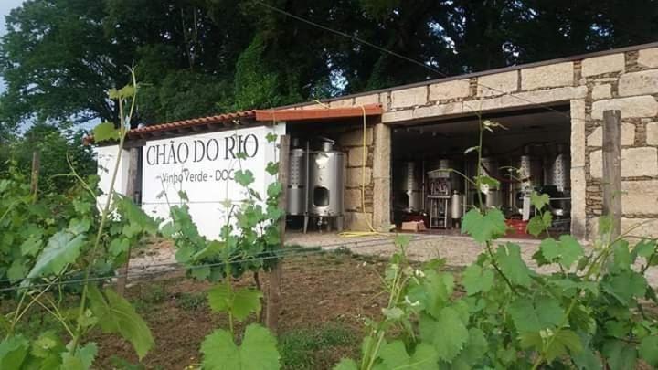 Quinta Da Chouza Agroturismo E Enoturismo Celorico De Basto Eksteriør billede