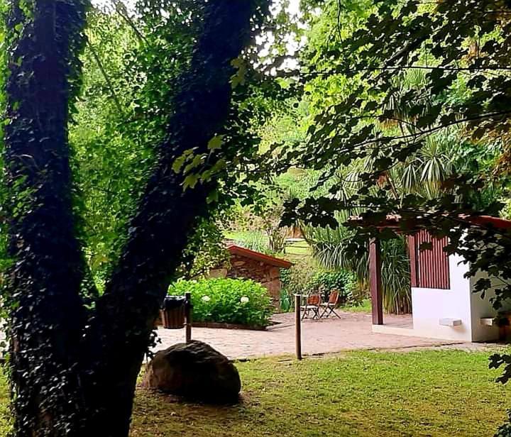 Quinta Da Chouza Agroturismo E Enoturismo Celorico De Basto Eksteriør billede