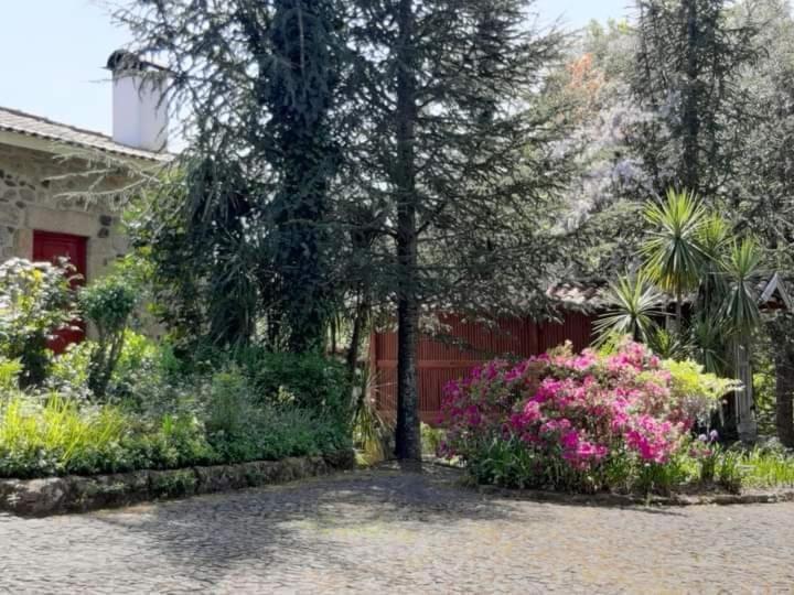 Quinta Da Chouza Agroturismo E Enoturismo Celorico De Basto Eksteriør billede