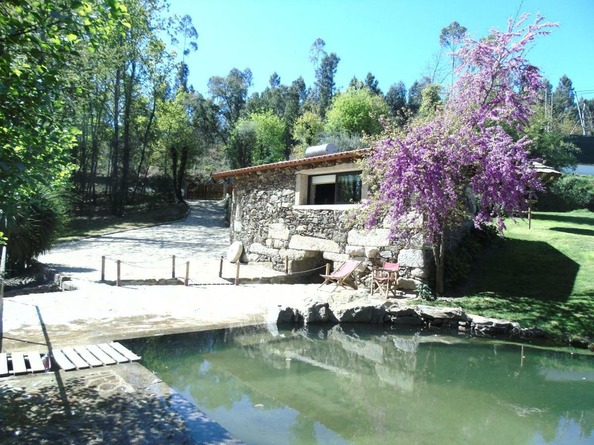 Quinta Da Chouza Agroturismo E Enoturismo Celorico De Basto Eksteriør billede