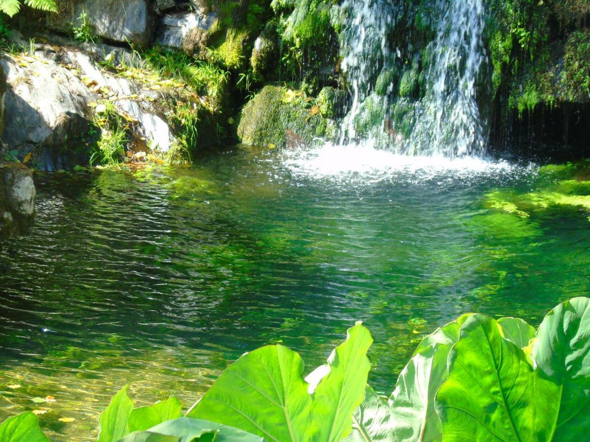 Quinta Da Chouza Agroturismo E Enoturismo Celorico De Basto Eksteriør billede