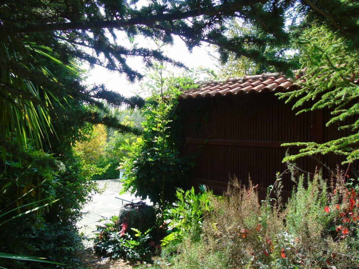 Quinta Da Chouza Agroturismo E Enoturismo Celorico De Basto Eksteriør billede