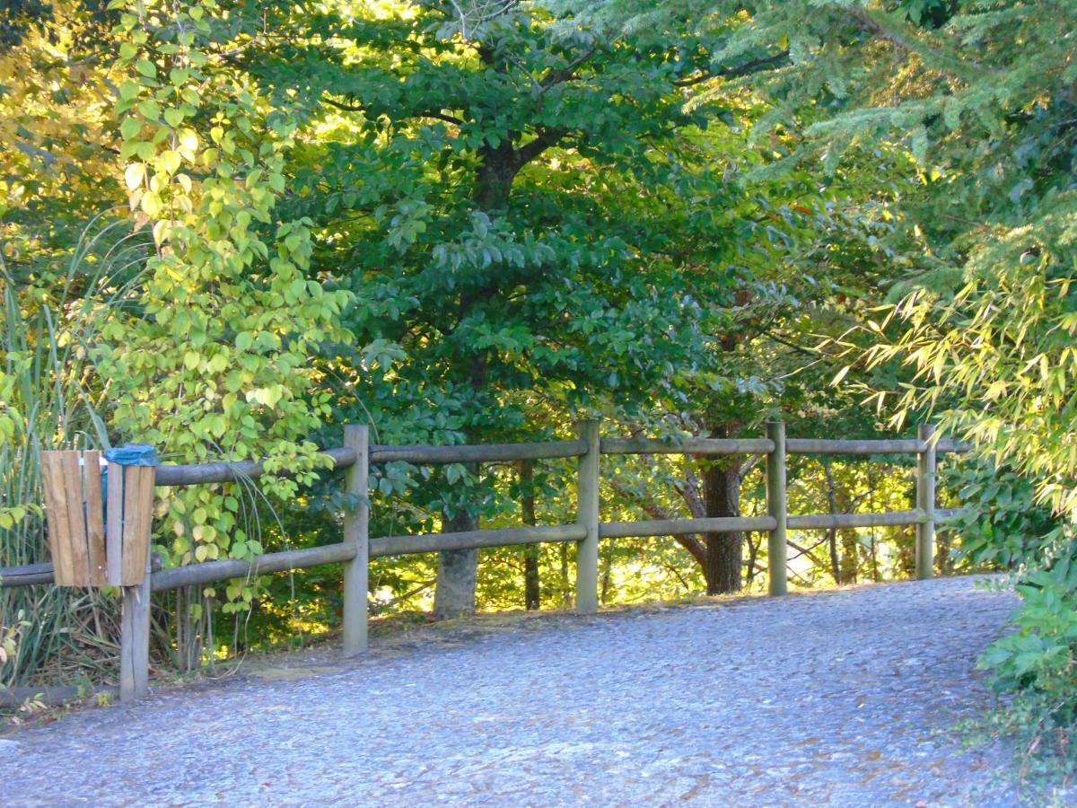 Quinta Da Chouza Agroturismo E Enoturismo Celorico De Basto Eksteriør billede
