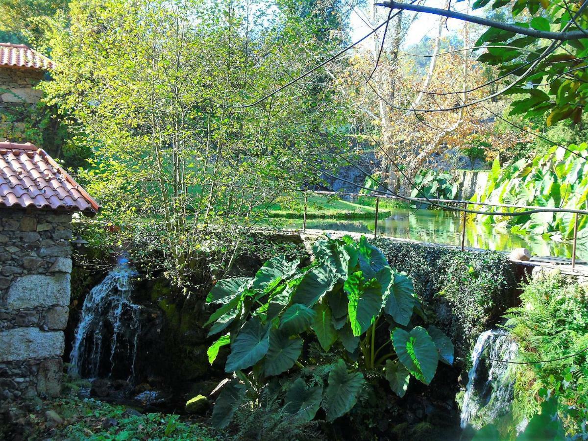 Quinta Da Chouza Agroturismo E Enoturismo Celorico De Basto Eksteriør billede